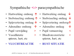 Para symphatisch zenuwstelsel